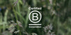 A quiet triumph, Bath House becomes a Certified B Corporation