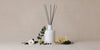 Stories in the air, home fragrance as memory