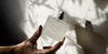 Bamboo & Jasmine perfume, a chypre fragrance of stillness and motion