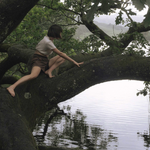 Climbing Trees Room Diffuser