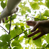 What nature does in summer, skin does too