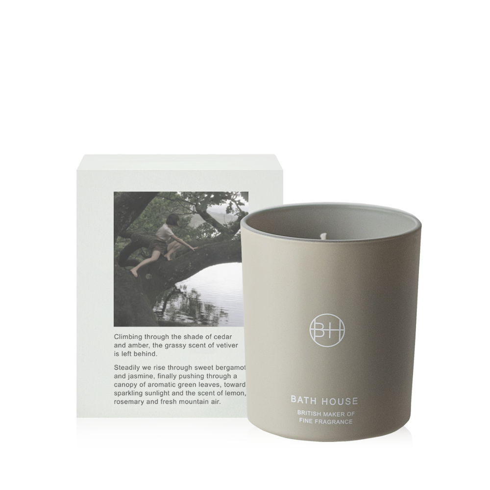 Climbing Trees Fragrance Candle
