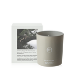 Climbing Trees Fragrance Candle