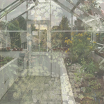 Greenhouse Fragrance Candle