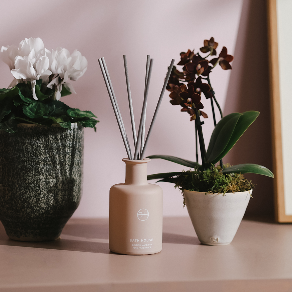 Hide & Seek Room Diffuser