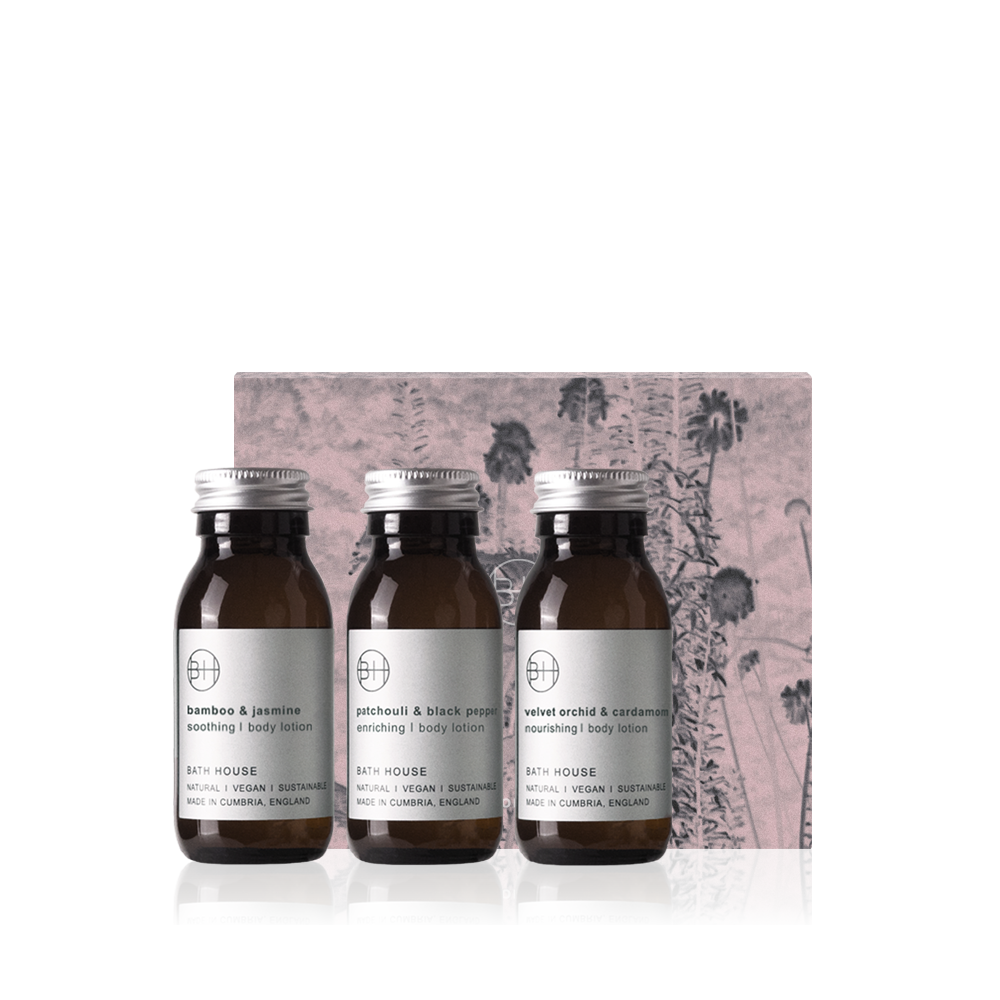 Wholesale Christmas - Body Lotion