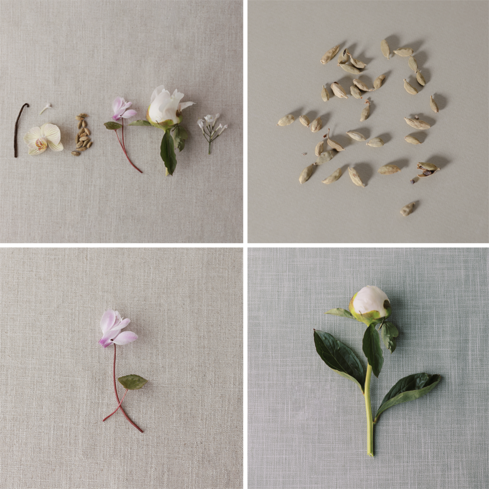 Velvet Orchid & Cardamom Sample Vial