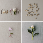 Velvet Orchid & Cardamom Sample Vial