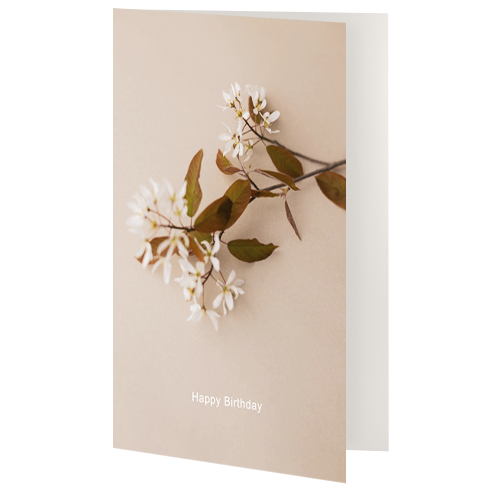 Greetings Card - Birthday Flower