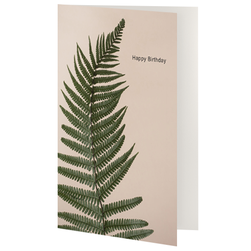 Greetings Card - Birthday Fern