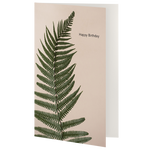 Greetings Card - Birthday Fern
