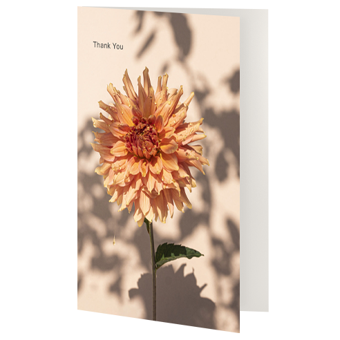 Greetings Card - Thank You