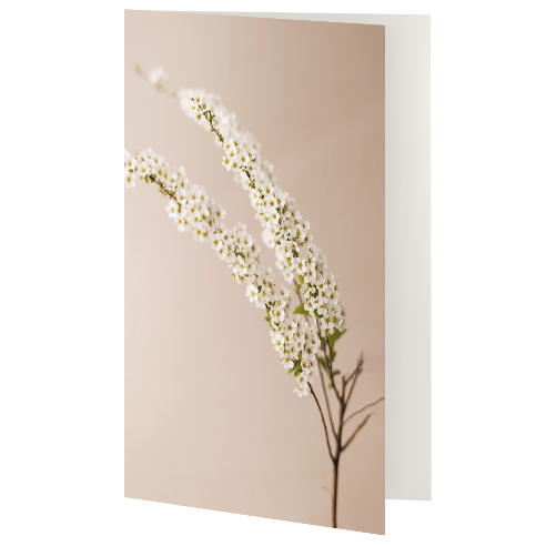 Greetings Card - General
