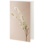 Greetings Card - General