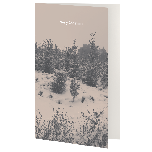 Greetings Card - Merry Christmas