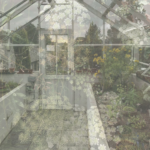 Alternative image of Greenhouse Room Diffuser