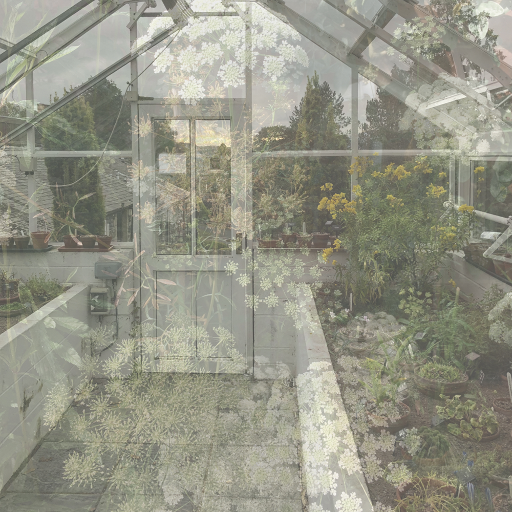 Alternative image of Greenhouse Room Diffuser Refill