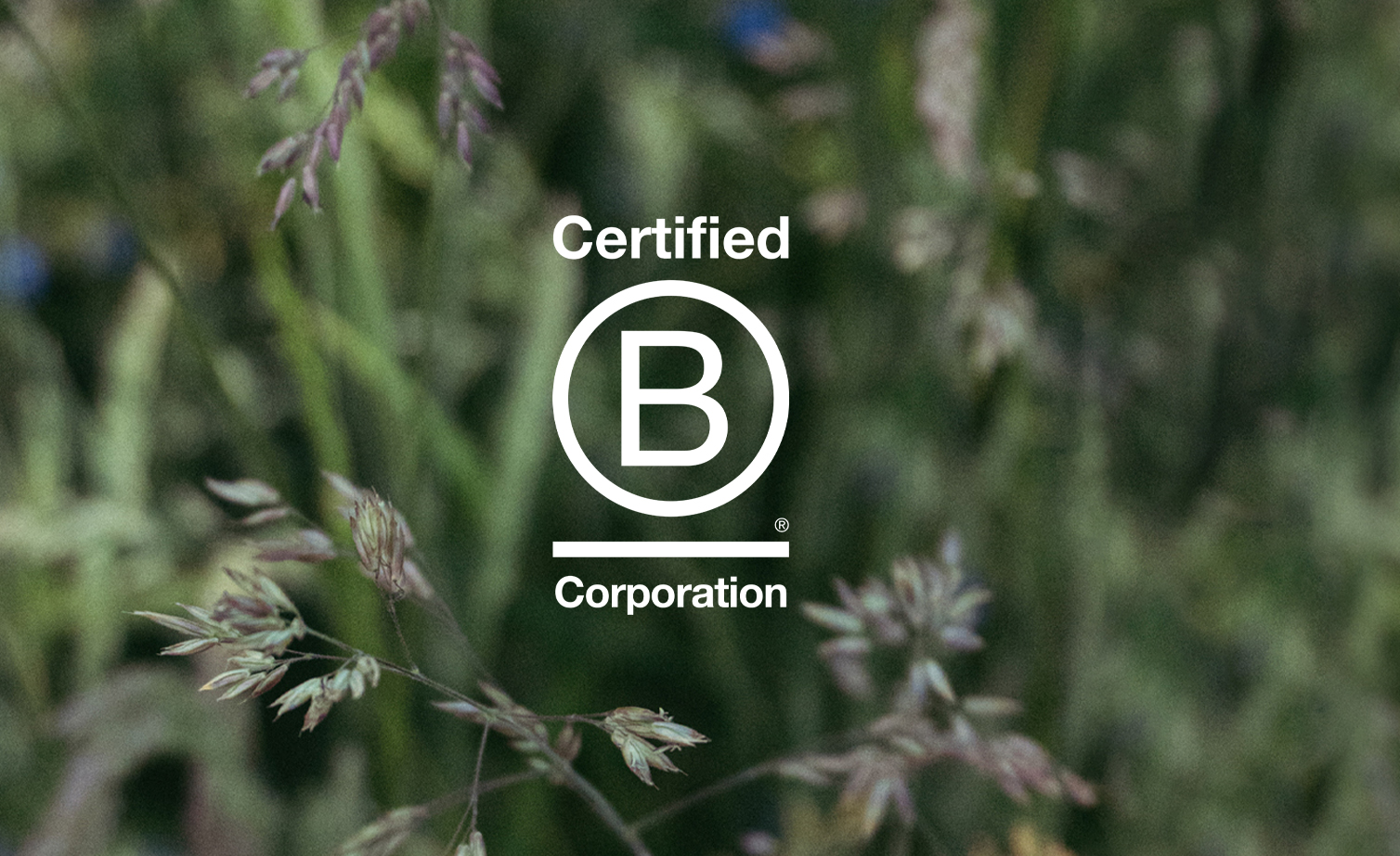 Related post of A quiet triumph, Bath House becomes a Certified B Corporation